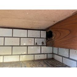 神奈川県にてネズミ被害駆除防除対策を行いました。の画像2