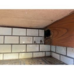 神奈川県横浜市にてネズミ被害駆除防除対策を行いました。の画像2