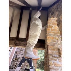 スズメバチ駆除の画像2