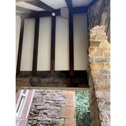 スズメバチ駆除の画像3