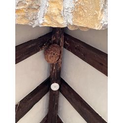 スズメバチ駆除の画像1