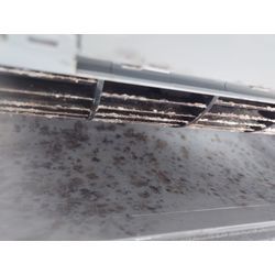 雨降った後…の画像1