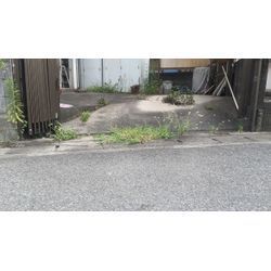 家の周りの草刈り作業の画像1