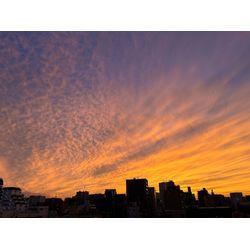 夕焼け🌆の画像1