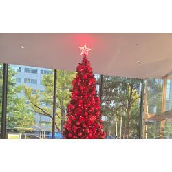 🌟表彰式アテンダント🌟の画像1