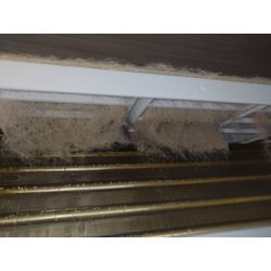 ペットを飼われてる方は注意の画像2