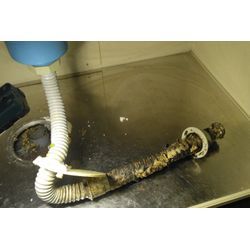 そしてまた高圧洗浄の画像1