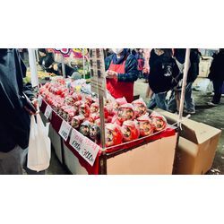 飯泉観音だるま市の画像1