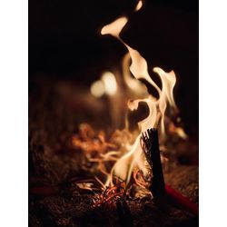 飯泉観音だるま市の画像2