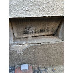 江戸川区ネズミ駆除の画像1