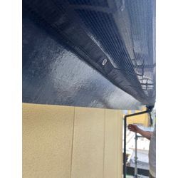 スズメ　対策　鳥　熊本市の画像3