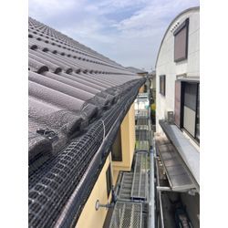 スズメ　対策　鳥　熊本市の画像2