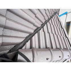 スズメ　対策　鳥　熊本市の画像1