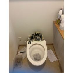 ウォシュレット一体型交換の画像2