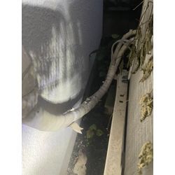 東京都中野区ネズミ駆除の画像1