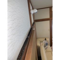 ネズミが室内にいるかもしれない…と不安に思ったことはありませんか？の画像1