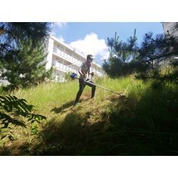 斜面の草刈りの画像1