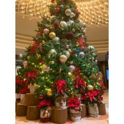 クリスマスイヴも定期プランご利用ください！の画像1