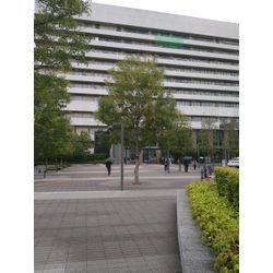 慶應義塾大学にPRP注射通訳の画像1