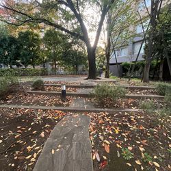 あなたの片付けはどこから？？の画像3