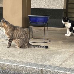 あなたの片付けはどこから？？の画像2