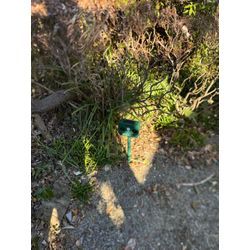 タヌキ　ネコ　イタチ　超音波　害獣　追い出しの画像3