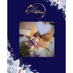 私の原点の子の一周忌への画像1