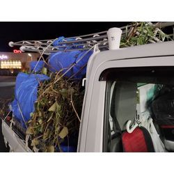 今日は高崎市で見積訪問2件の安中市で草刈＆つる取り作業　〜植木屋ゆうさんShortBlog〜の画像2