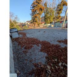 神奈川県川崎市中原区にて落ち葉拾いを行いましたの画像1