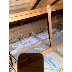 シロアリ　駆除の画像2