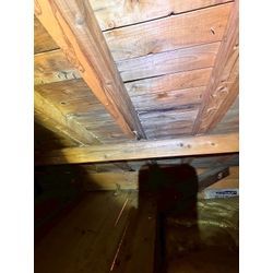 シロアリ　駆除の画像3