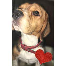 台風24号 列島横断の画像1