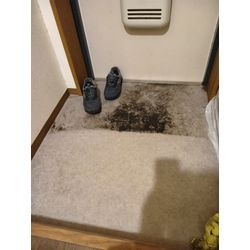 玄関床・壁紙クロス・窓カビ除去クリーニングの画像2