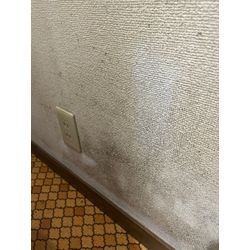 クロスメイクピーシーズです！の画像1