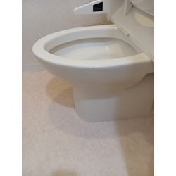 トイレクリーニング＋洗面クリーニングの画像1