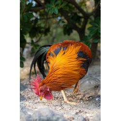 意外と知らない？！神社は撮影許可が必要の画像3