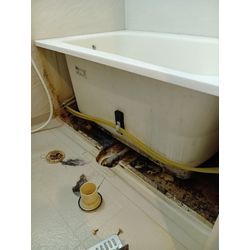 賃貸入居前の除菌クリーニングの画像2