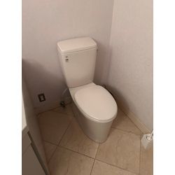 トイレ交換の画像1
