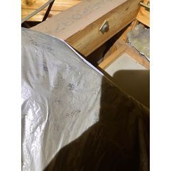 害獣調査　アライグマ　熊本県　菊池市の画像1