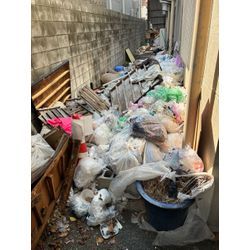 ゴミ屋敷清掃の画像1