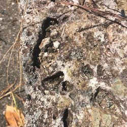 大切なお墓を長持ちさせるには？寿命を延ばす秘策！の画像1