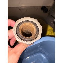 本日排水管洗浄  汚れは見えないところにたくさん溜まってます‼️の画像1