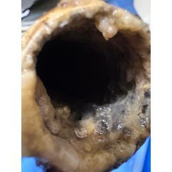 本日排水管洗浄  汚れは見えないところにたくさん溜まってます‼️の画像2