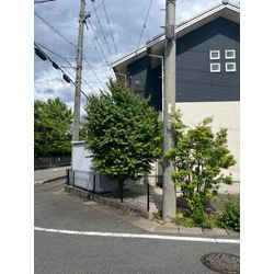 剪定も行っておりますの画像1