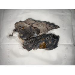 多摩区でドラム式洗濯機の詰まり除去に行ってきました！の画像1