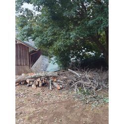 宇陀市伐採の画像3