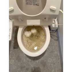 広島市でトイレ詰りはお任せください！！の画像1