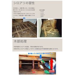 （お知らせ）シロアリの季節となりますの画像2