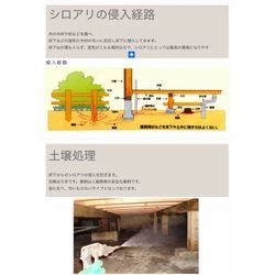 （お知らせ）シロアリの季節となりますの画像1