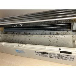 買われて2年目で…の画像1